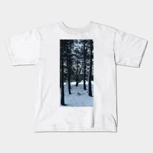 Terra Cont'd Kids T-Shirt